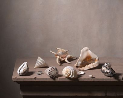 13 coquillages sur une table de pierre