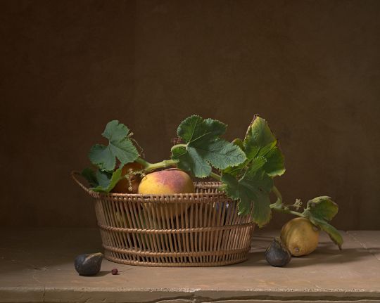 Henri Peyre & Catherine Auguste - Nature morte avec panier de fruits, deux figues et une baie